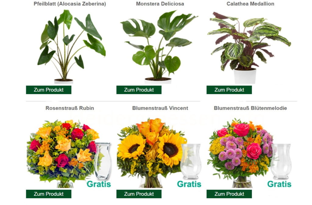 floraprima Pflanzen und Blumen