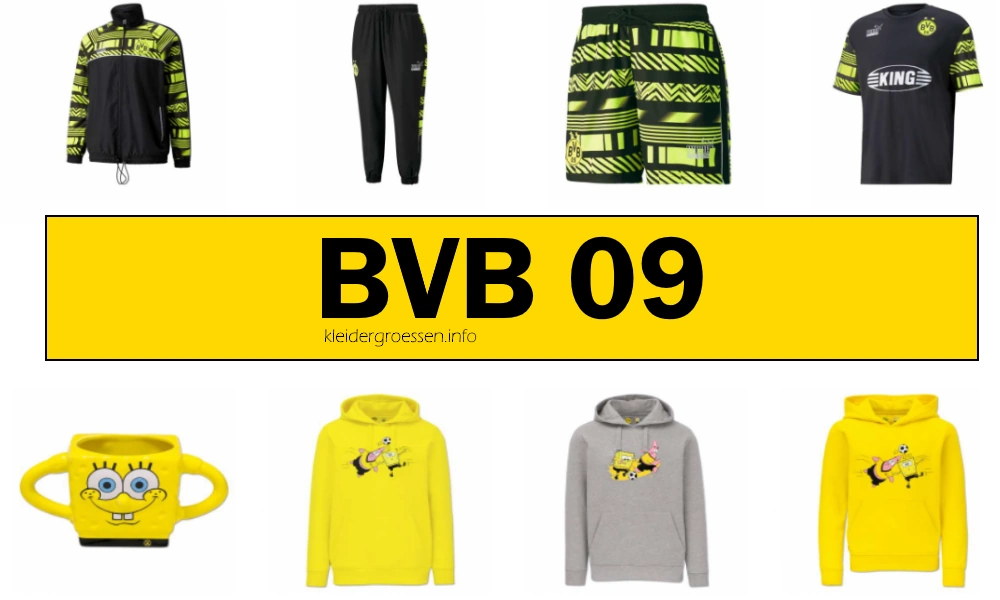 BVB 09 