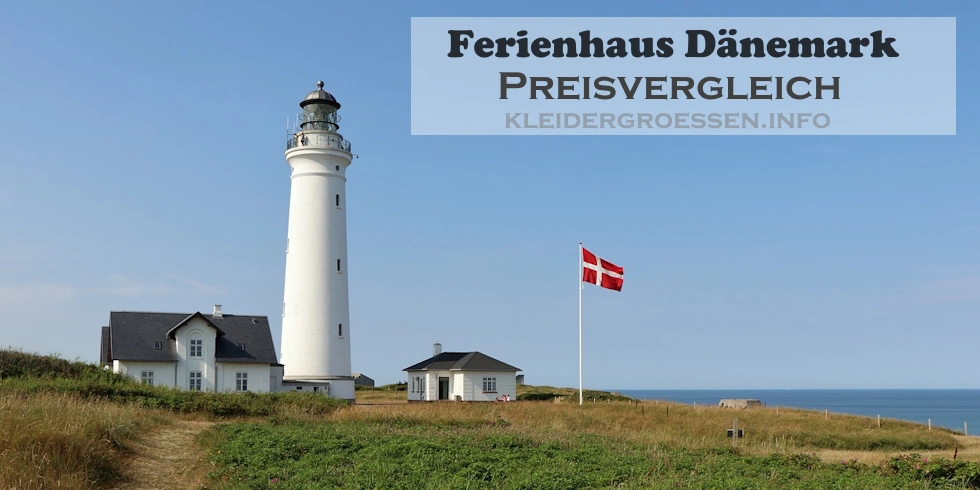 Ferienhaus Dänemark Vergleich